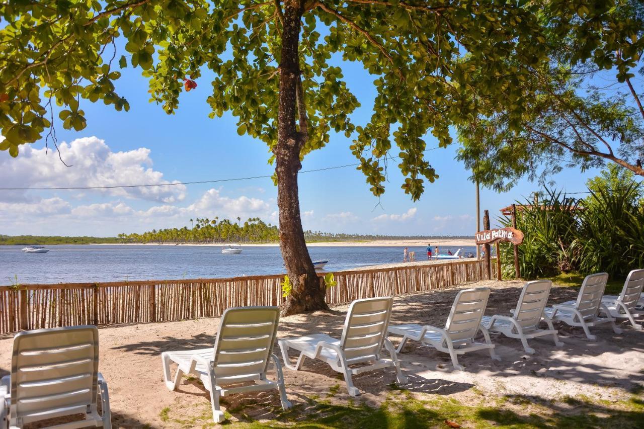 Pousada Vila Palma Boipeba Velha Boipeba 外观 照片