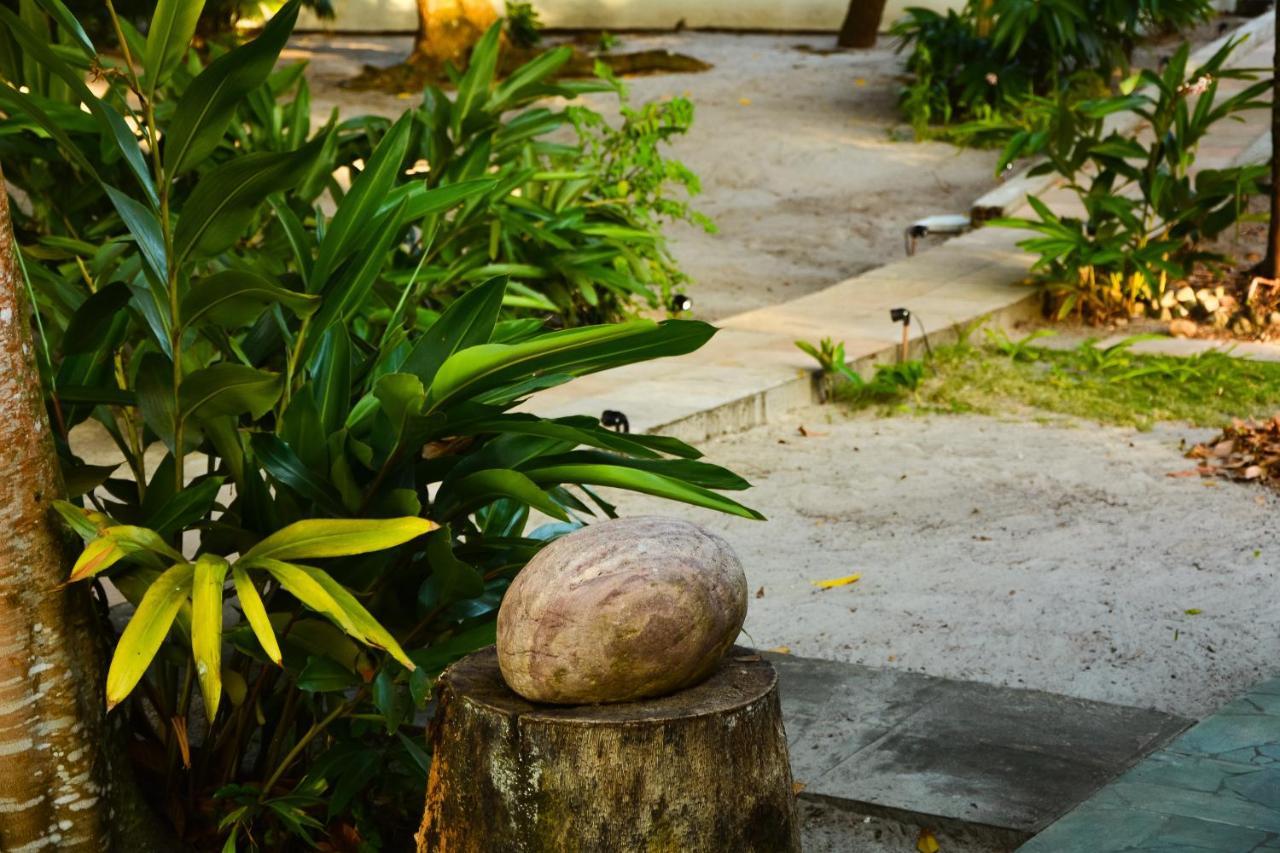 Pousada Vila Palma Boipeba Velha Boipeba 外观 照片